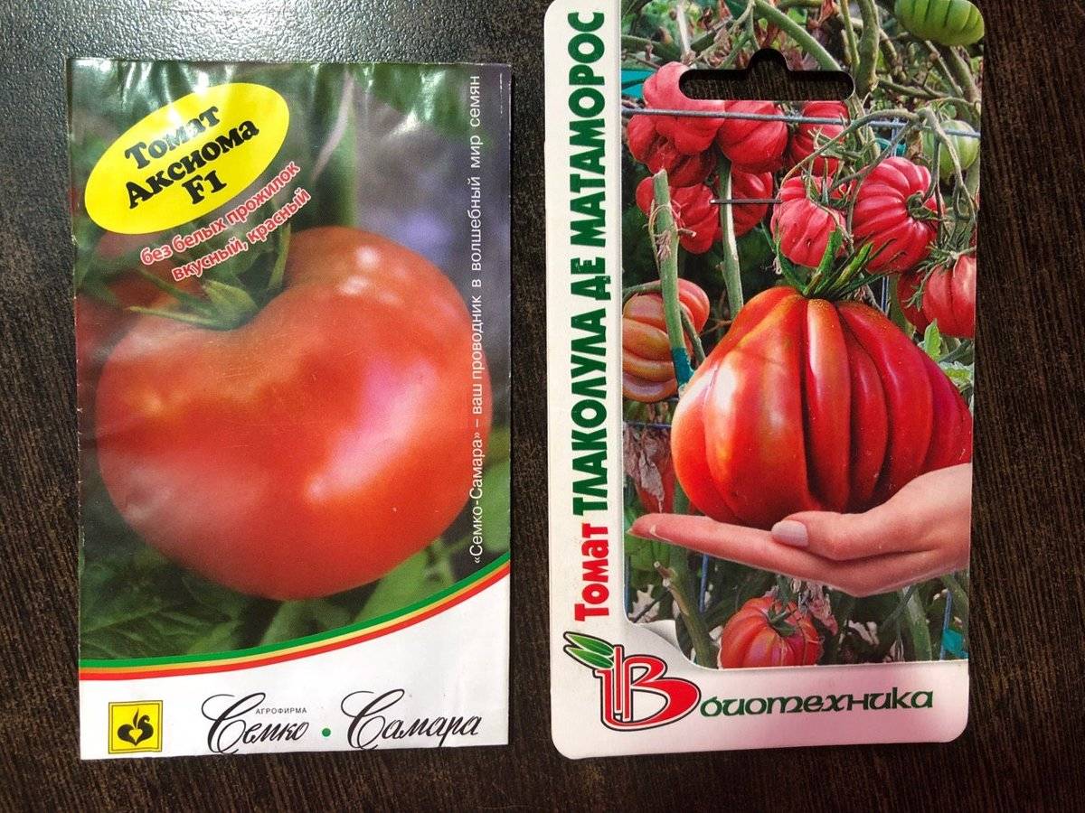 Томат султан (f1): отзывы о помидорах, характеристика и описание гибрида, его преимущества и недостатки, технология выращивания и дальнейшее применение урожая