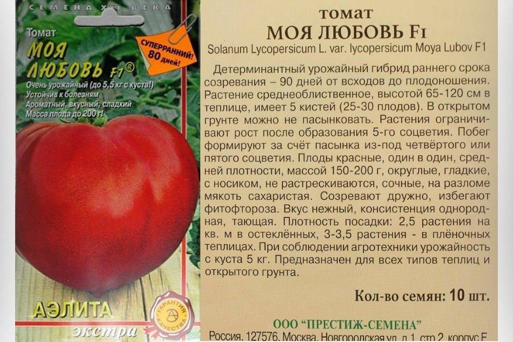 Описание детерминантного томата баловень судьбы и рекомендации по выращиванию сорта
