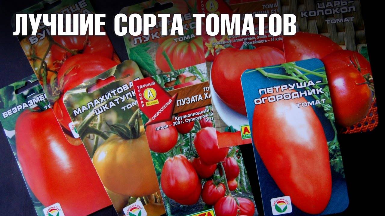 Лучшие сорта помидор для подмосковья. описание и отзывы сортов для теплицы и открытого грунта