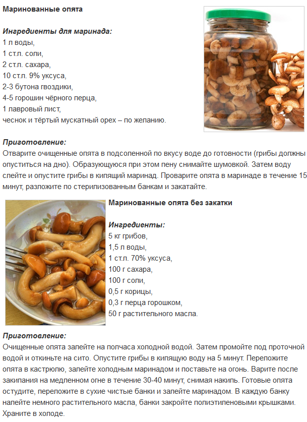 Супер-маринад для грибов на зиму. универсальный - заготовки на зиму лучшие рецепты