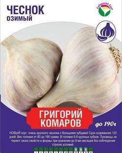 Описание чеснока сибирский гигант и особенности выращивания сорта