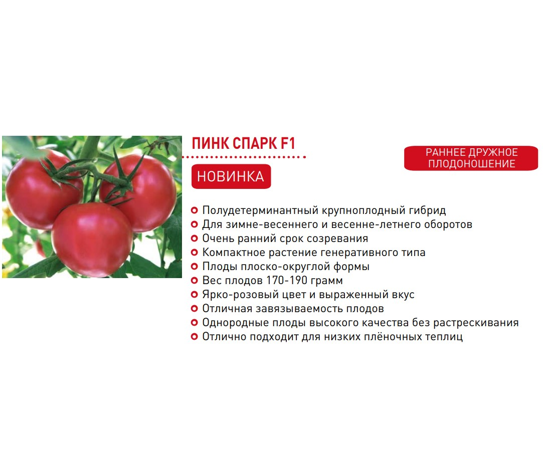Об особенностях томата розовый спам: описание сорта и нюансы выращивания