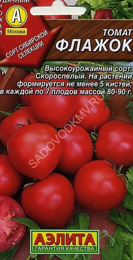 Томат алтайский красный: отзывы с фото, кто сажал, характеристика и описание сорта, его урожайность