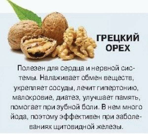 Грецкий орех полезные свойства и противопоказания