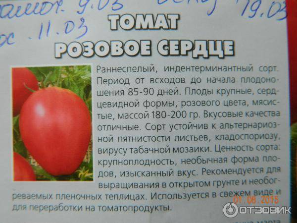 Чудо земли — томат для вашего участка