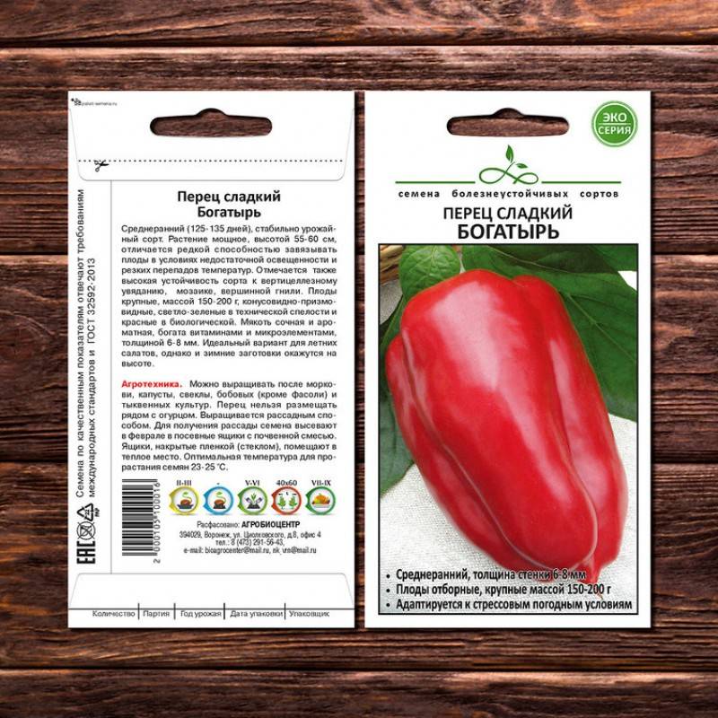 Перец богатырь: характеристика и описание сорта, инструкция по выращиванию богатого урожая сладкого овоща, полезные советы