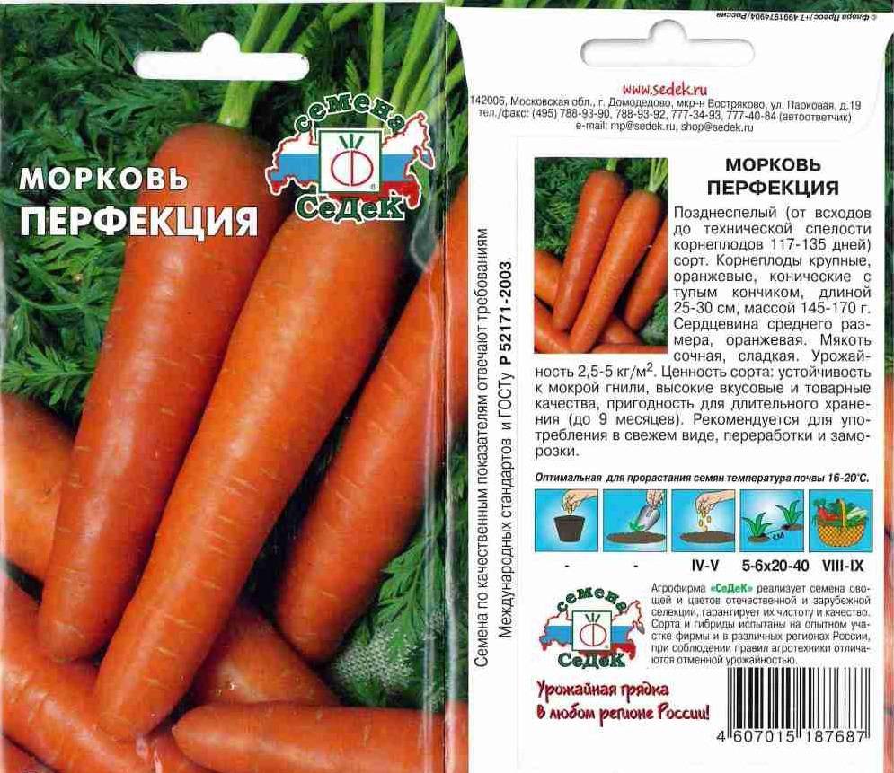 Морковь нантская: описание сорта, отзывы, фото