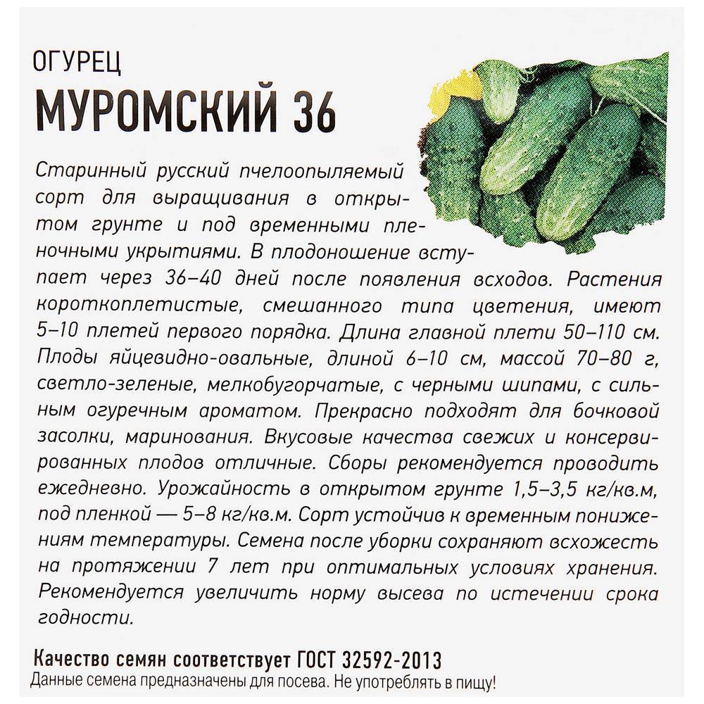 Описание огурцов сорта Муромский 36, выращивание и уход за молодыми кустами