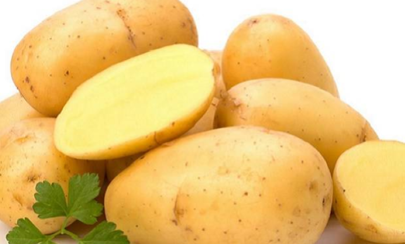 Картофель зорачка: описание сорта, фото, отзывы
