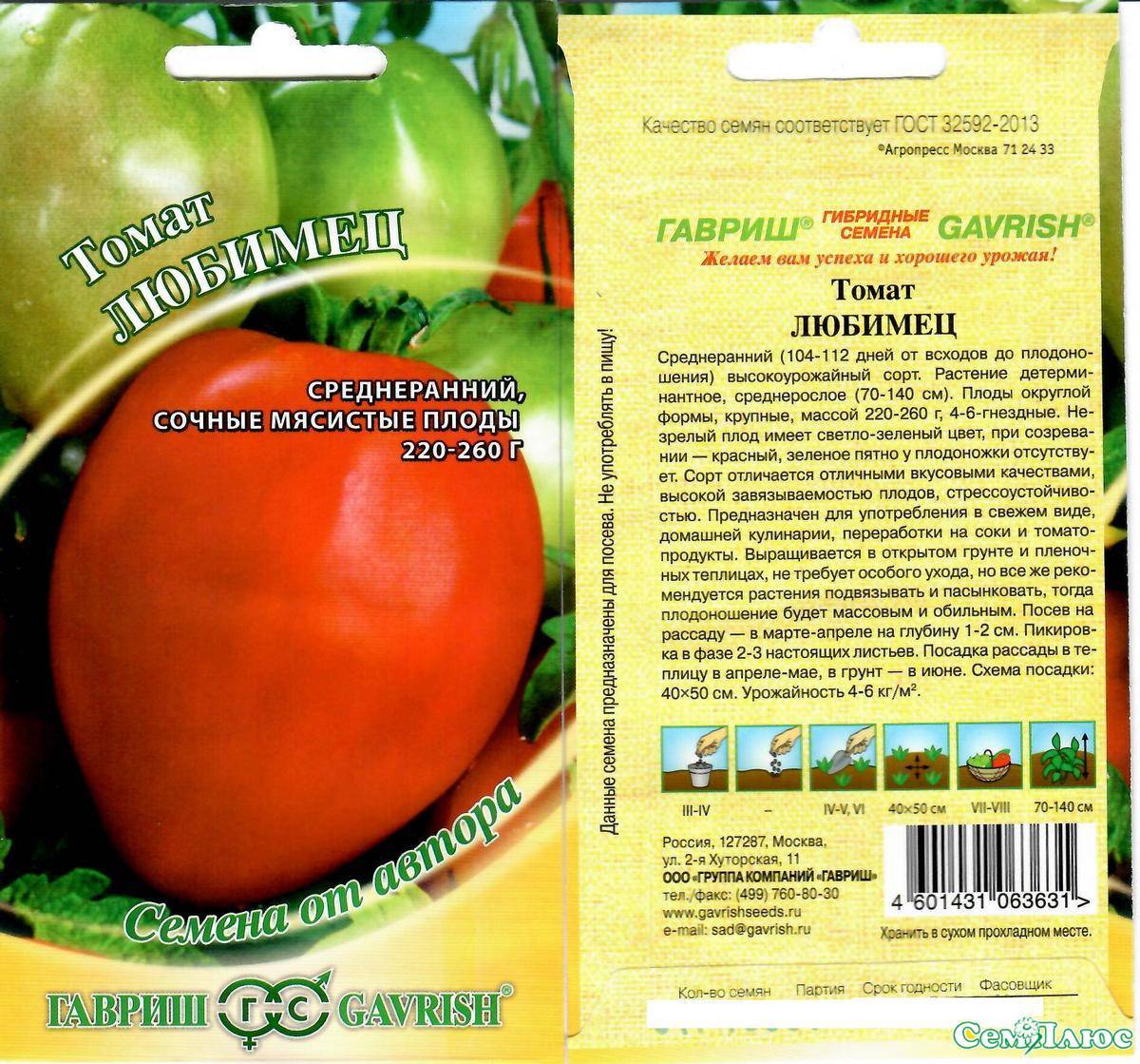 Выращивание помидоров в теплице зимой: подготовка, посадка, выращивание и уход