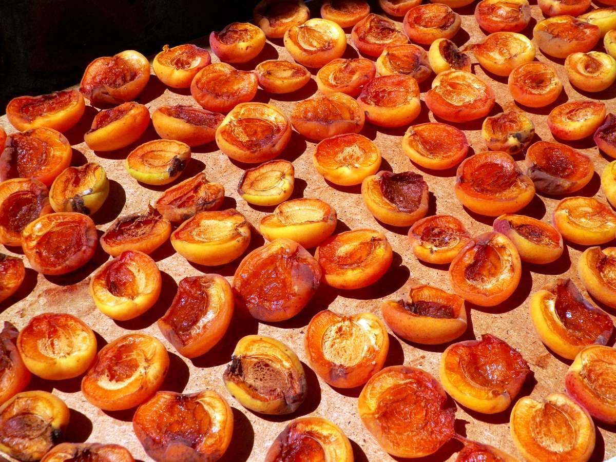 Как приготовить сушеные абрикосы без косточек: лучшие и проверенные способы в духовке, на улице