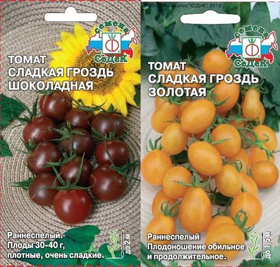 Томат бурая гроздь f1: отзывы (10), фото, урожайность | tomatland.ru