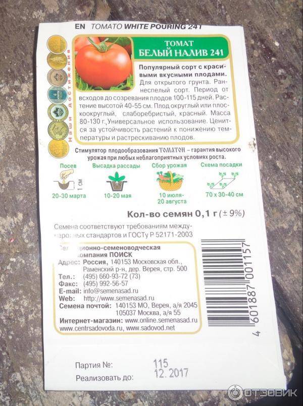 Томат белый налив — 115 фото, описание, характеристики и рекомендации как выращивать правильно старинный сорт помидоров