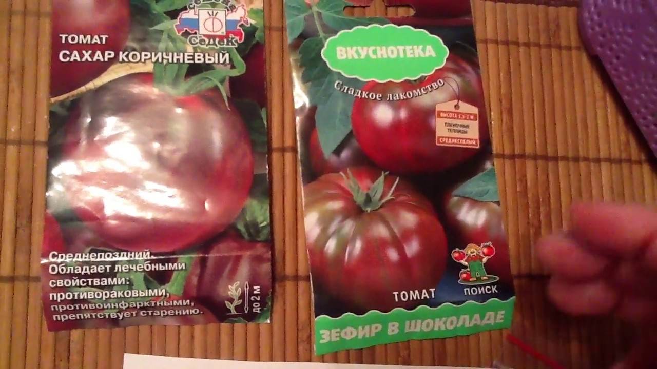 Выращиваем «зефир в шоколаде» — томат с уникальными характеристиками: описание сорта и фото