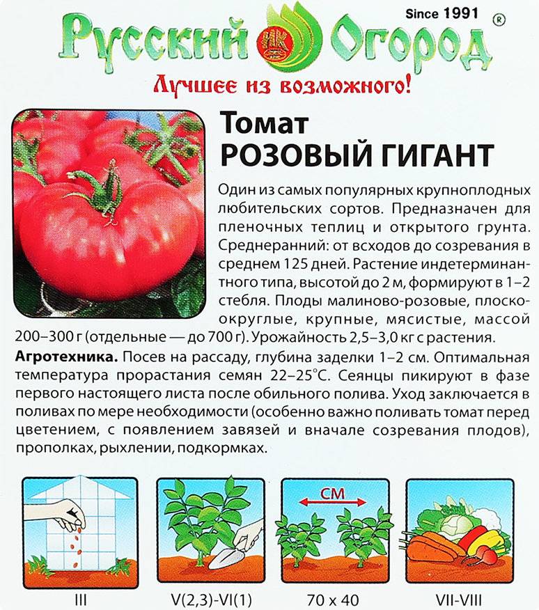 Лучшие сорта розовых томатов: самые крупные, вкусные и сладкие, урожайные, для теплицы, открытого грунта, ранние, отзывы о выращивании