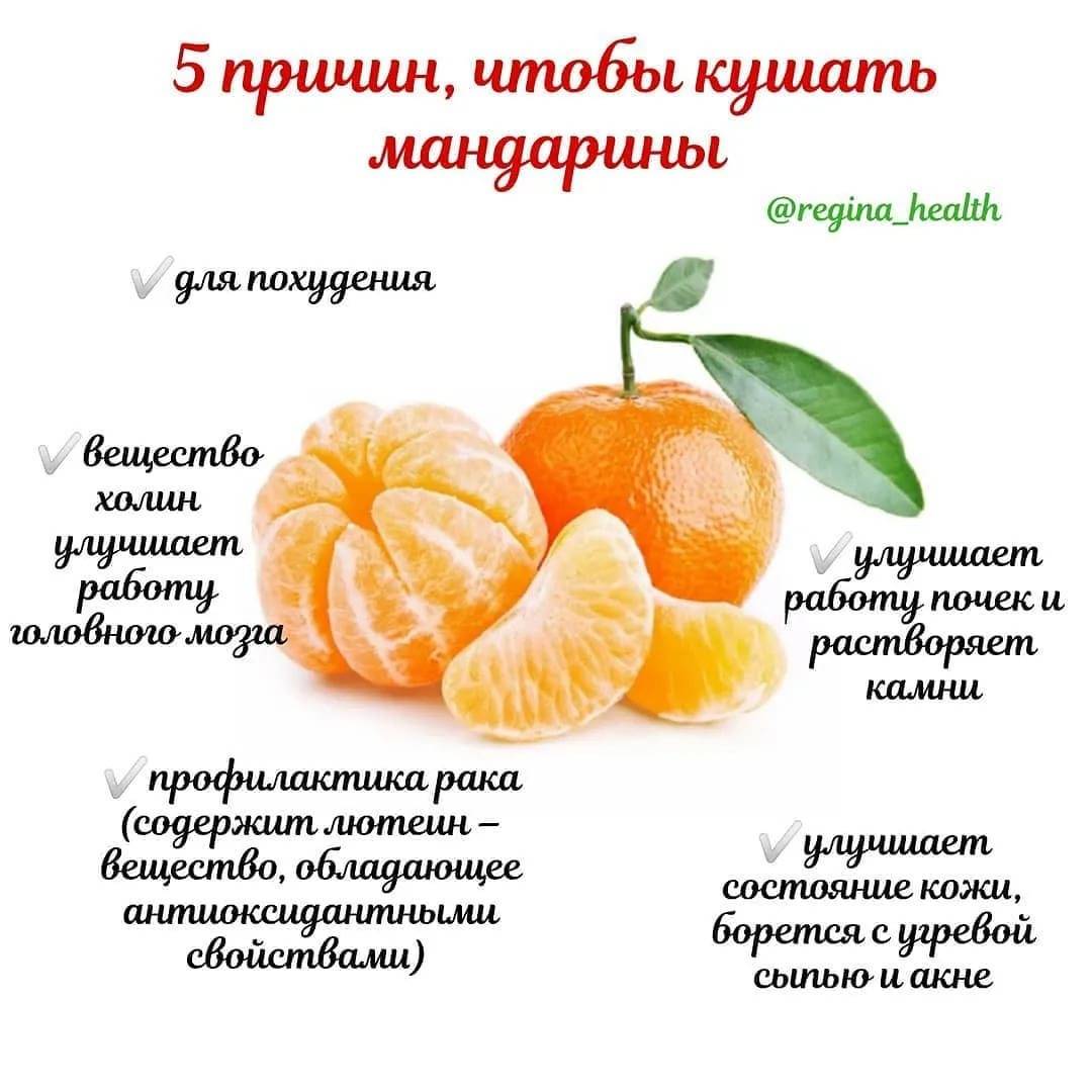 Польза и вред мандаринов для организма