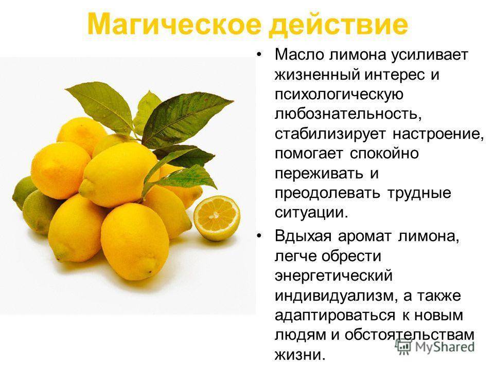 Апельсины: польза и вред для человека