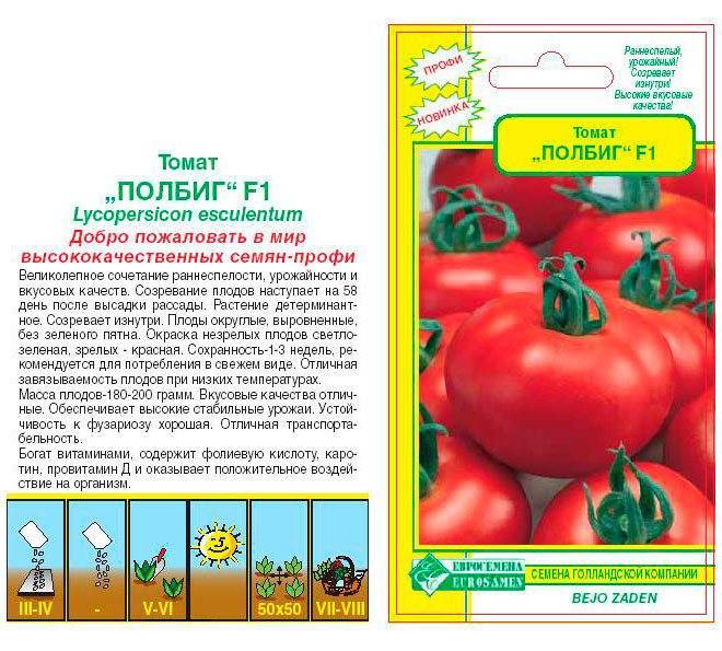 Томат диаболик f1 – подробное описание урожайного гибрида, нюансы агротехники, отзывы