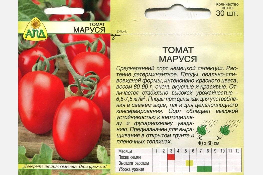 Аурия томат: характеристика и описание сорта, посадка и уход, сбор урожая, вредители и профилактика