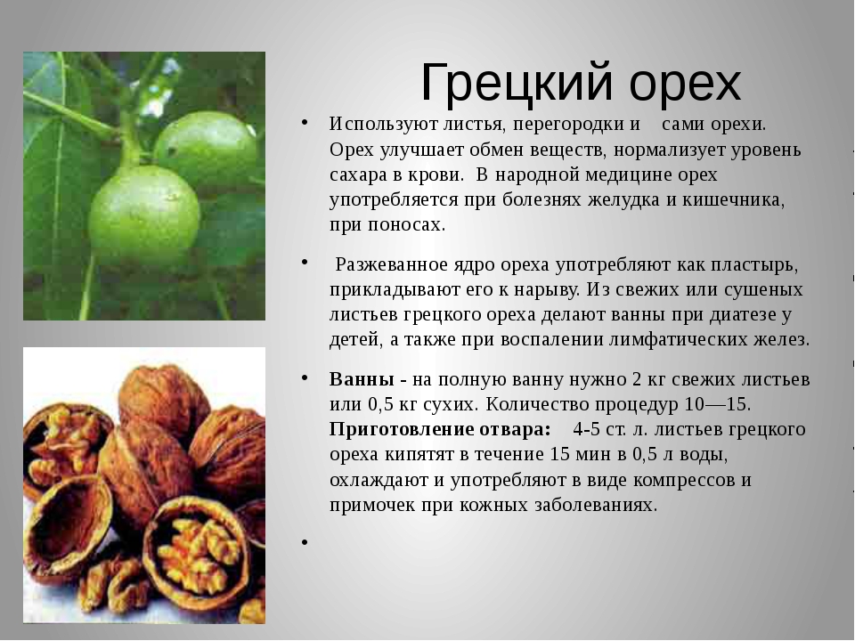 Выращивание земляного арахиса через рассаду и посадкой в открытый грунт в разных регионах россии