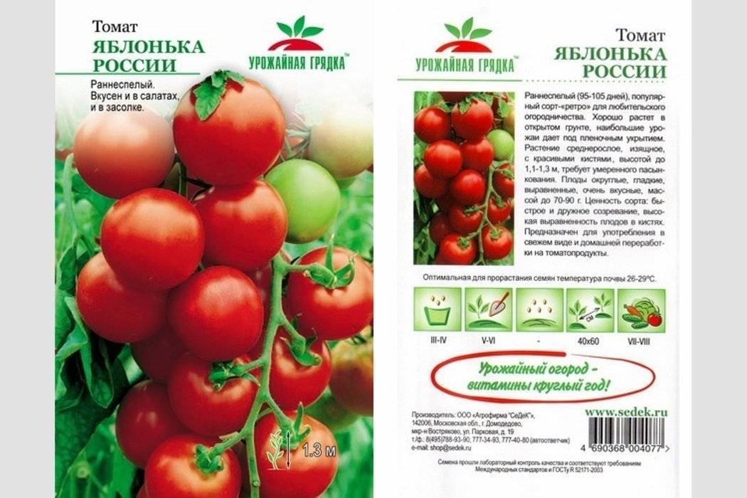 Крупные, сладкие плоды — томат машенька: подробное описание сорта