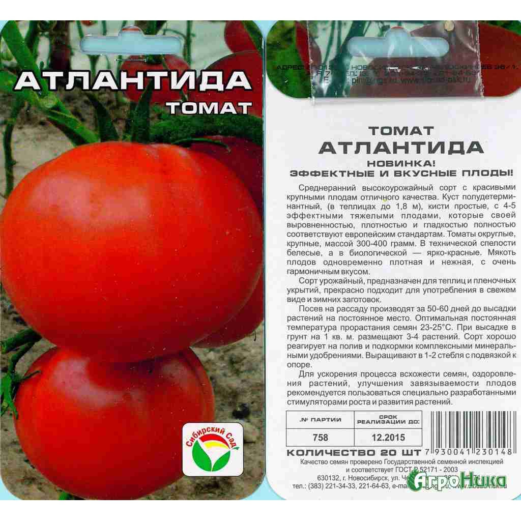 Томат алези: описание и характеристика сорта, урожайность с фото