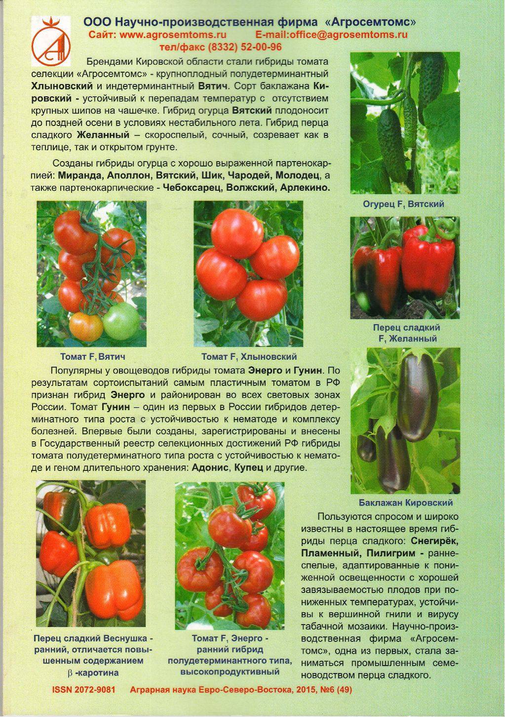 Томат «палка»: необычный сорт помидоров с фруктовой ноткой, особенности его выращивания и ухода