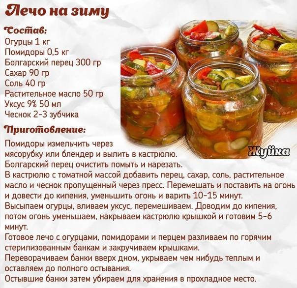 18 очень вкусных заготовок из болгарского перца: самые простые и лучшие рецепты