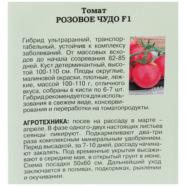 Томат пандароза: описание и характеристики, особенности посадки и выращивания, болезни и вредители, достоинства и недостатки