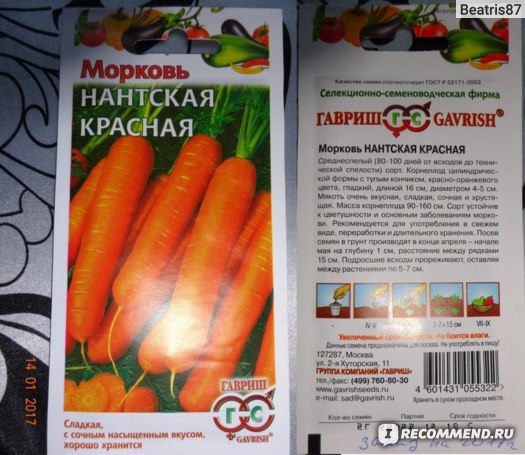 Лучшие сорта моркови, вкусовые качества, урожайность