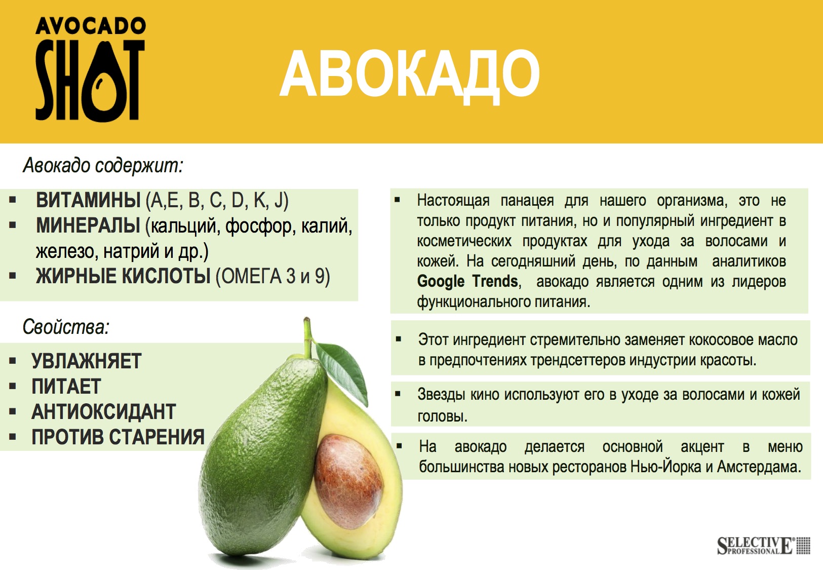 Масло авокадо: польза, вред, состав, рецепты блюд