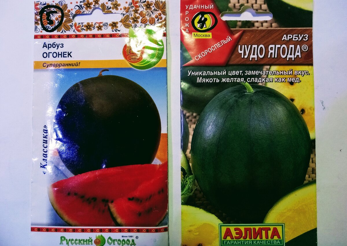 Описание арбуза огонек: основные особенности выращивания и ухода