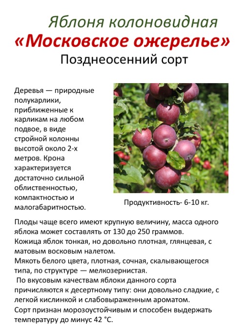 Колоновидная яблоня: 5 сортов для подмосковья, скороспелые для средней полосы россии и ранние сладкие для московской области