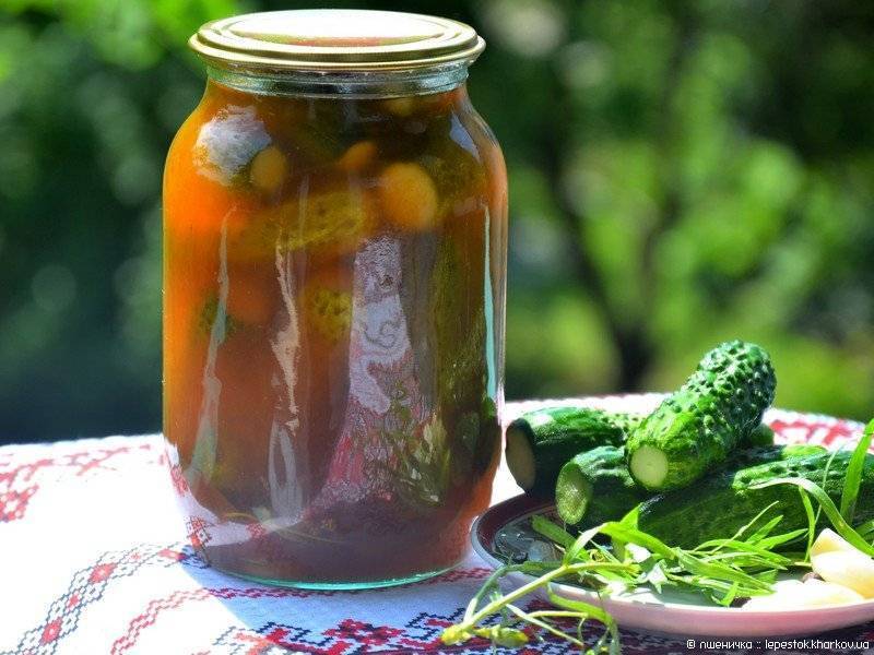 Хрустящие огурцы по-болгарски на зиму: самые вкусные и простые рецепты