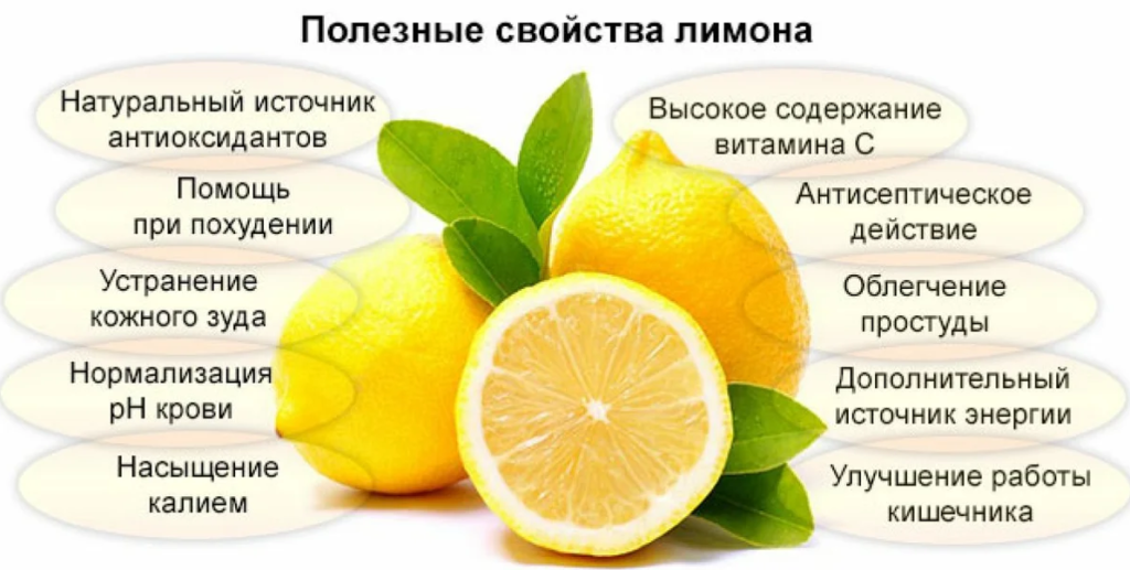 Чем полезен и вреден лимон для организма человека, лучшие рецепты