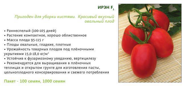 Томат ирина: отзывы (24), фото, урожайность, описание и характеристика | tomatland.ru
