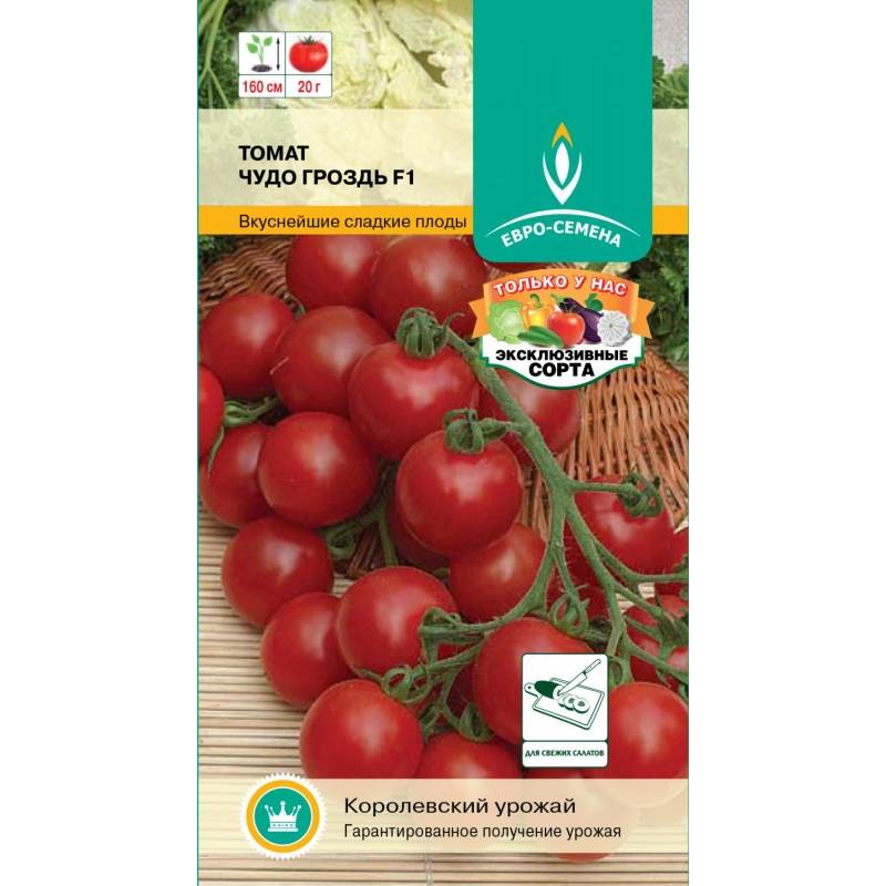 Ампельные помидоры – выращивание????, 10 сортов для балкона, фото, отзывы овощеводов