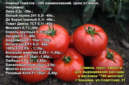 Лучшие сорта томатов для беларуси