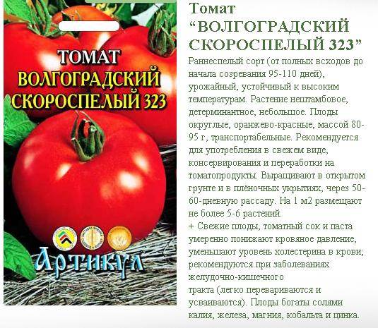 Томат дюймовочка: методы выращивания помидоров, фото готовых плодов и отзывы огородников