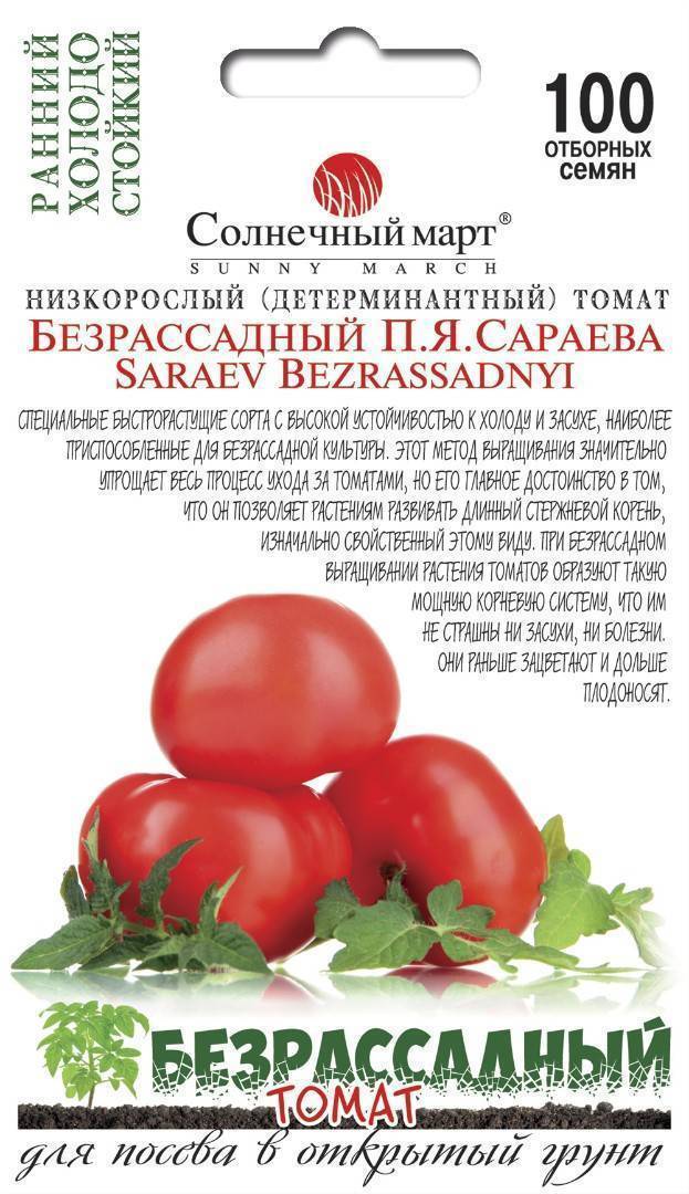 Выращивание томатов безрассадным способом