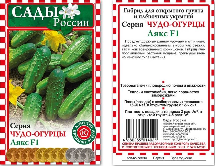 Огурец аякс f1: описание сорта, выращивание, отзывы, фото