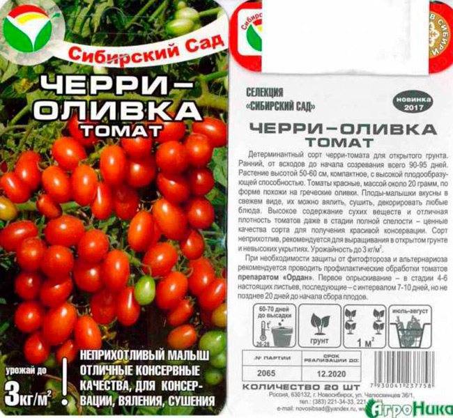 Низкорослые томаты для открытого грунта: 9 сортов проверила сама