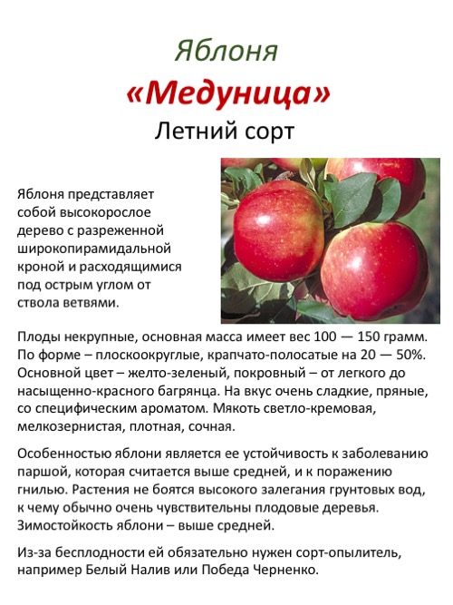 Яблоня вишневая: описание сорта, вкусовые качества плодов, правила посадки, основной уход, сроки сбора и хранения урожая