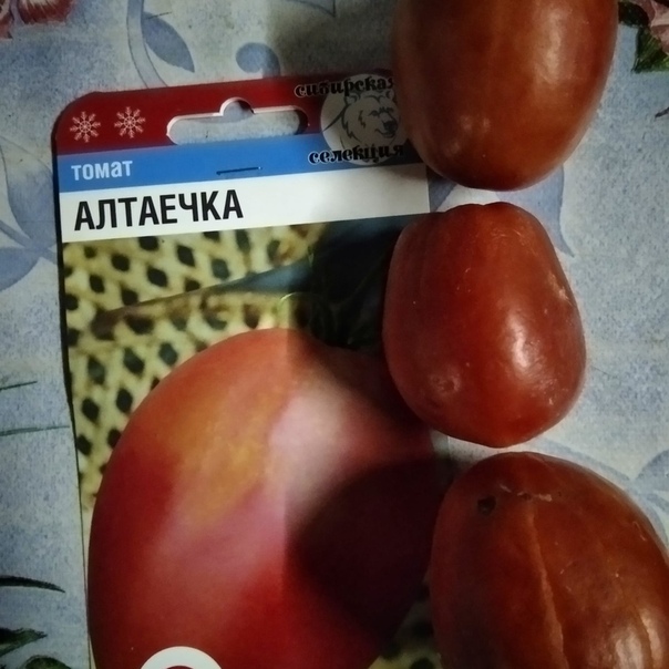 Болезни рассады томатов: описание с фотографиями и способы лечения