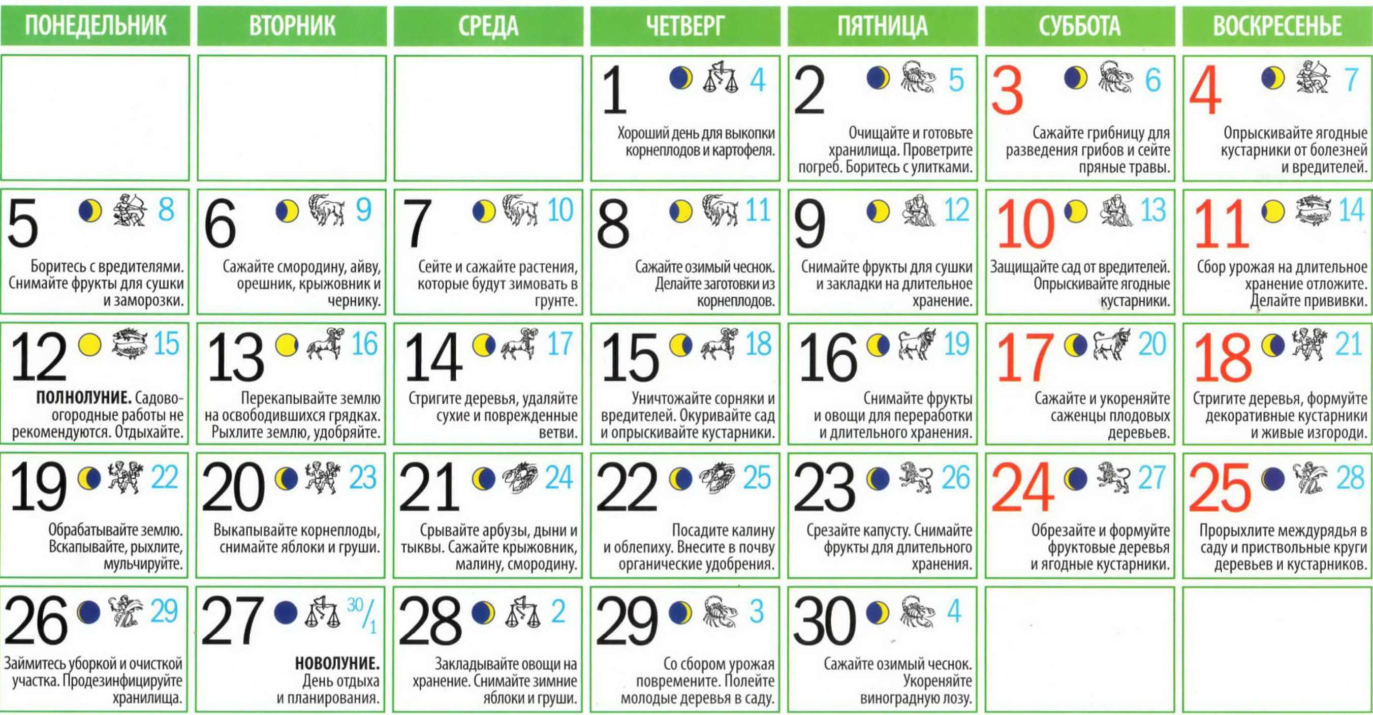 Когда убирать чеснок, посаженный под зиму в 2021 году по лунному календарю и по регионам: таблица