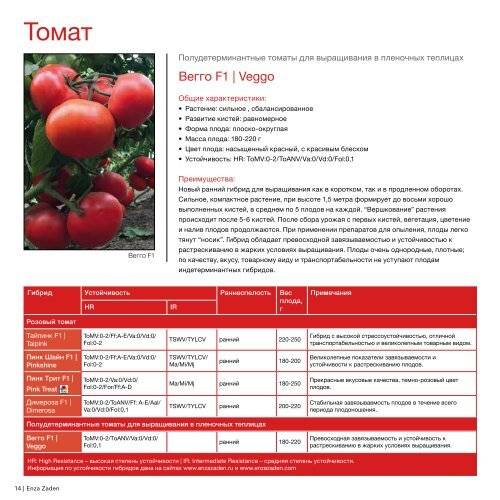 Крупноплодный сорт от болгарских селекционеров — томат «мамина любовь»