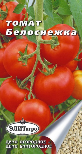 Лучшие штамбовые томаты для россии и ее регионов