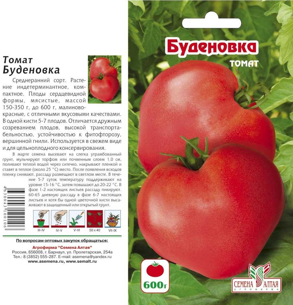 Описание и характеристики томатов сорта Буденовка, урожайность и выращивание