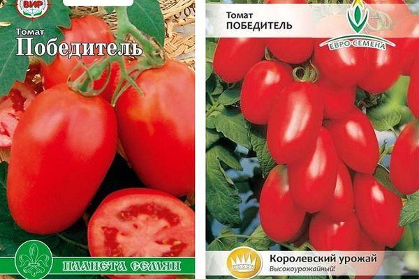 Каталог томатов | tomatland.ru