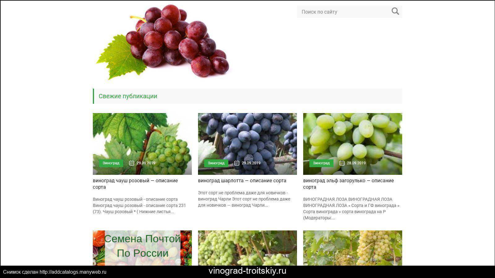 Описание сорта винограда валек с фото и отзывами садоводов